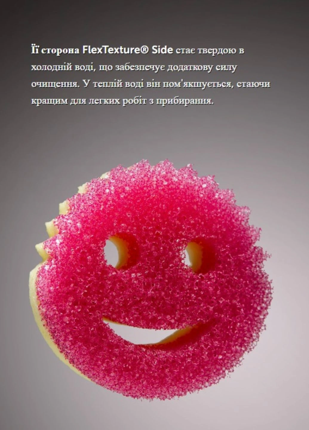 Губка для чищення Scrub Moomy Scrubber+Sponge Scrub Daddy (260072258)