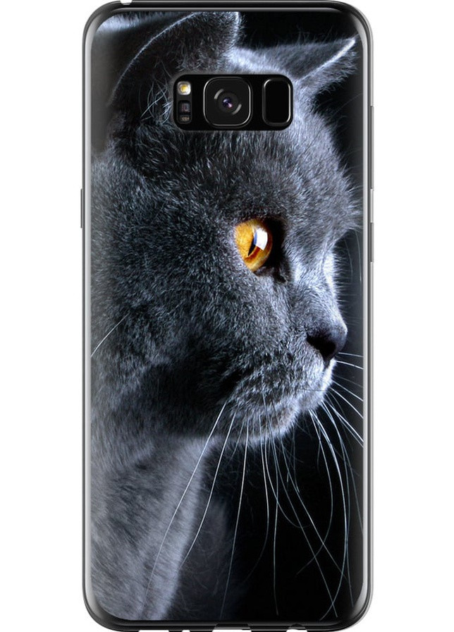 2D пластиковий чохол 'Гарний кіт' для Endorphone Samsung Galaxy S8 Plus (257905547)