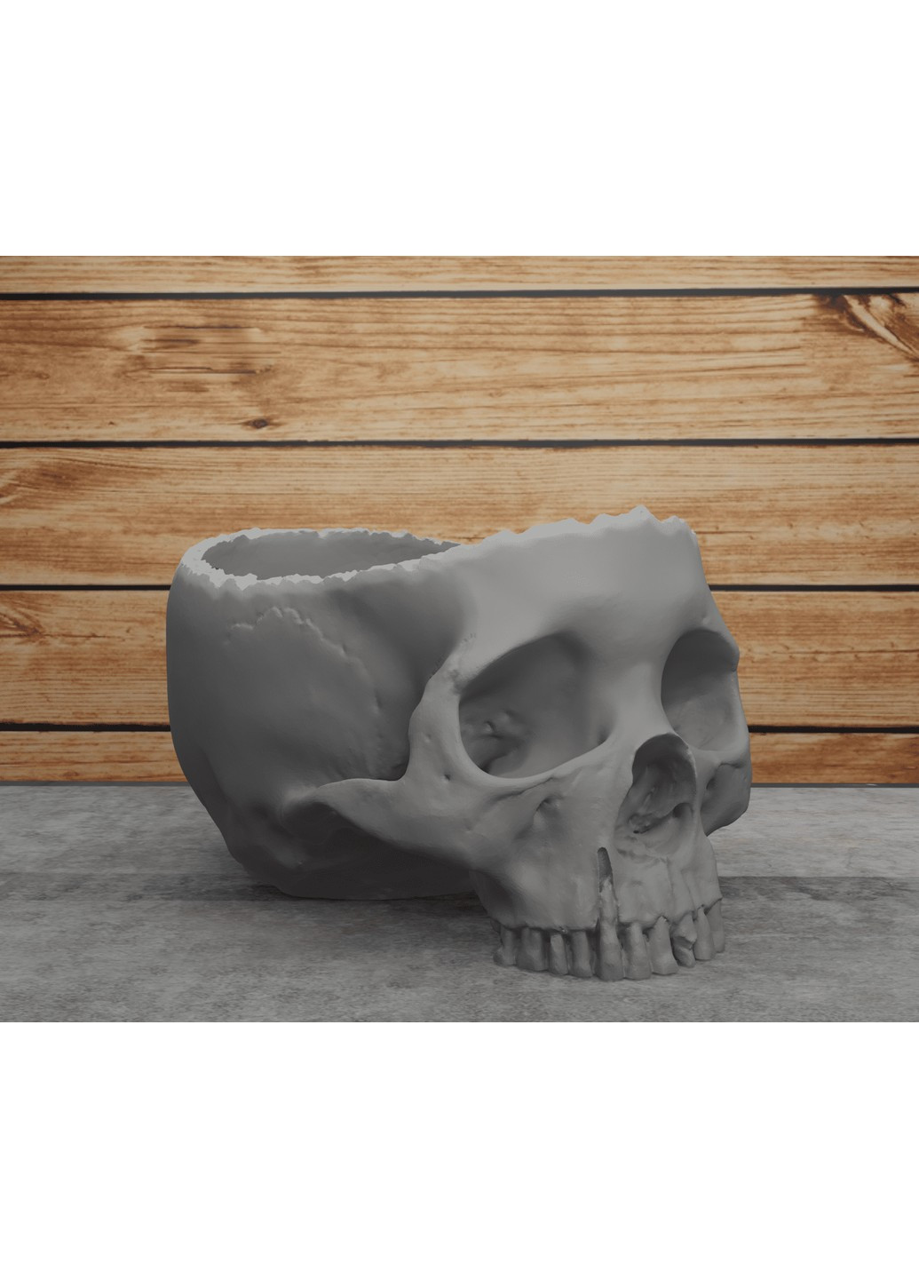 Відкритий череп. ЗаСвіт (266425137)