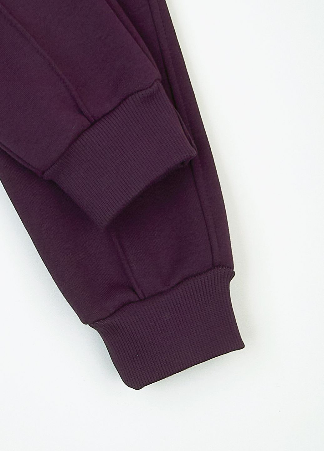 Фиолетовые спортивные демисезонные джоггеры брюки KRAKO