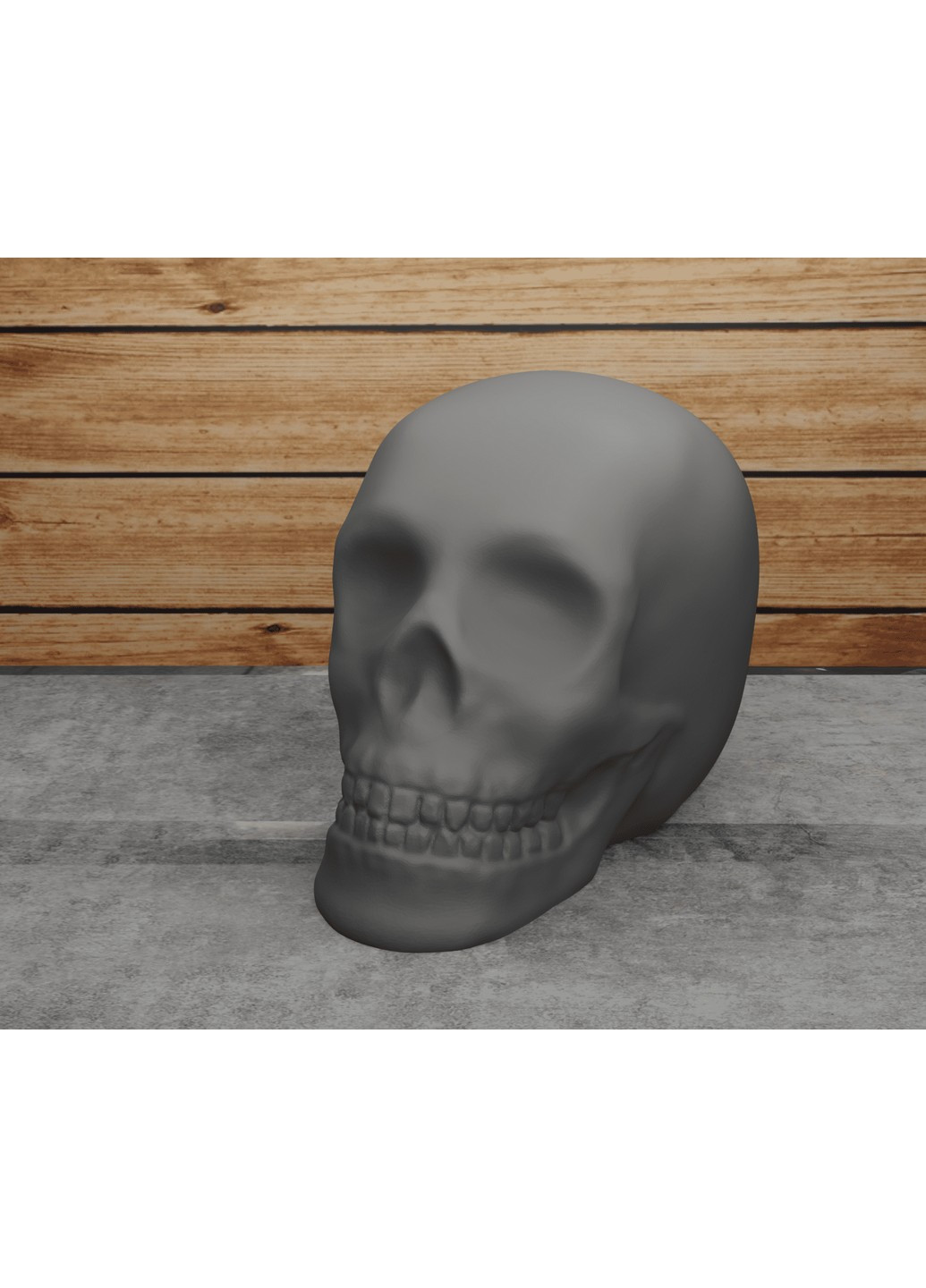 Череп класичний. ЗаСвіт (266425313)