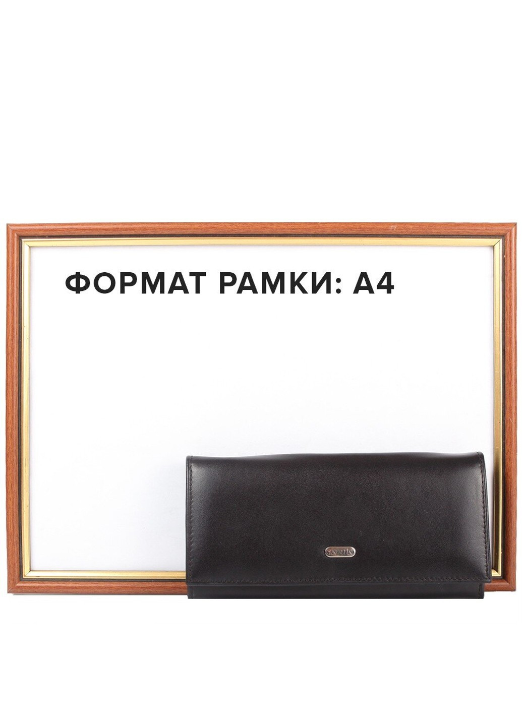 Женский кожаный кошелек SHI2036-1 Canpellini (262976717)