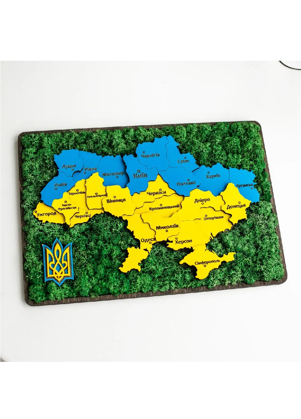 Панно картина флорариум деревянная со стабилизированным мхом карта Украины 40х27,5х2 см (475819-Prob) Желто-голубой мох Unbranded (271955581)