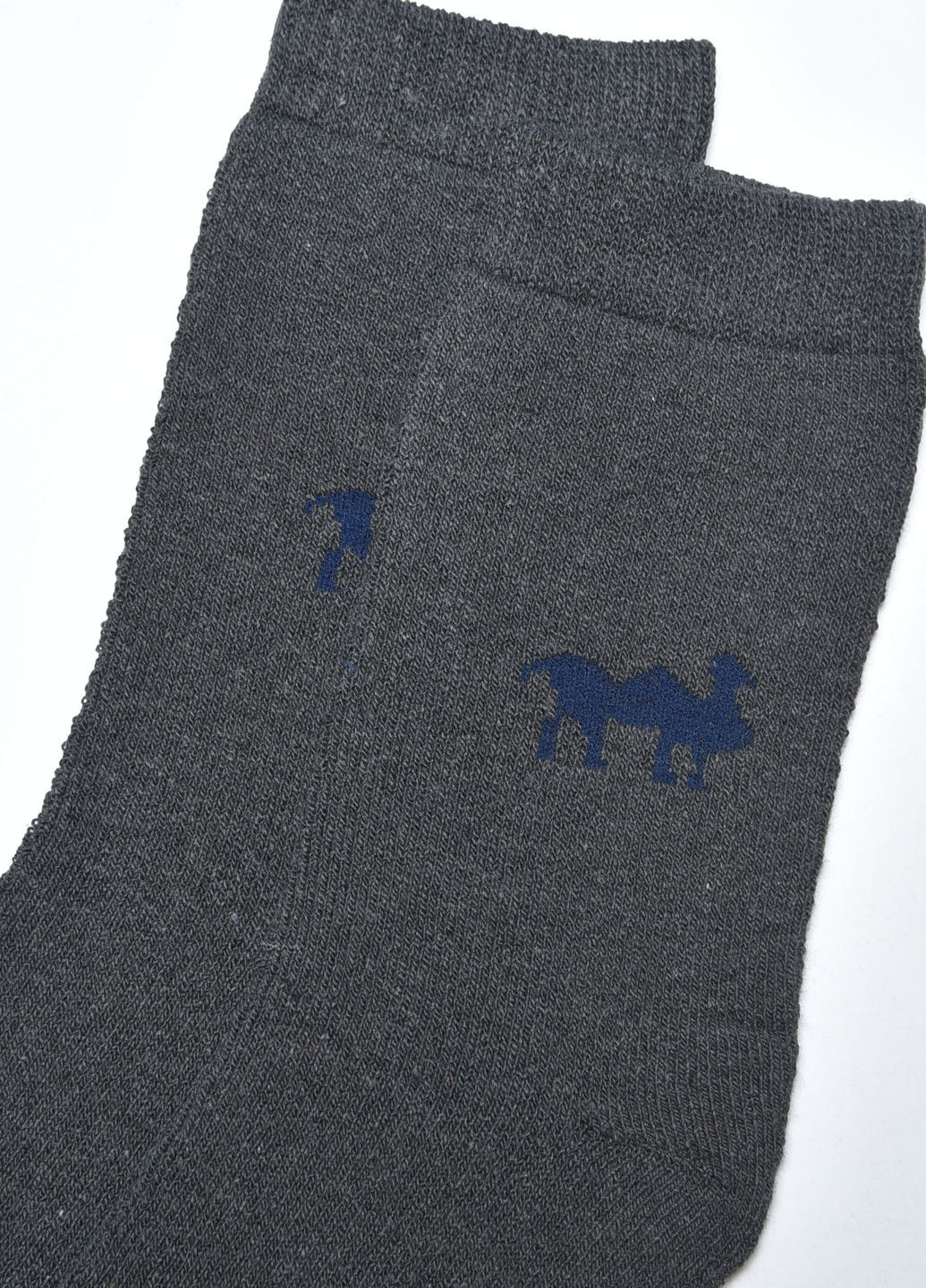 Шкарпетки чоловічі махрові темно-сірого кольору розмір 42-48 Let's Shop (267167145)