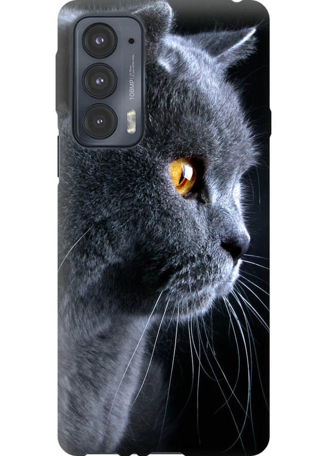 Силиконовый чехол 'Красивый кот' для Endorphone Motorola Edge 20 (257953961)