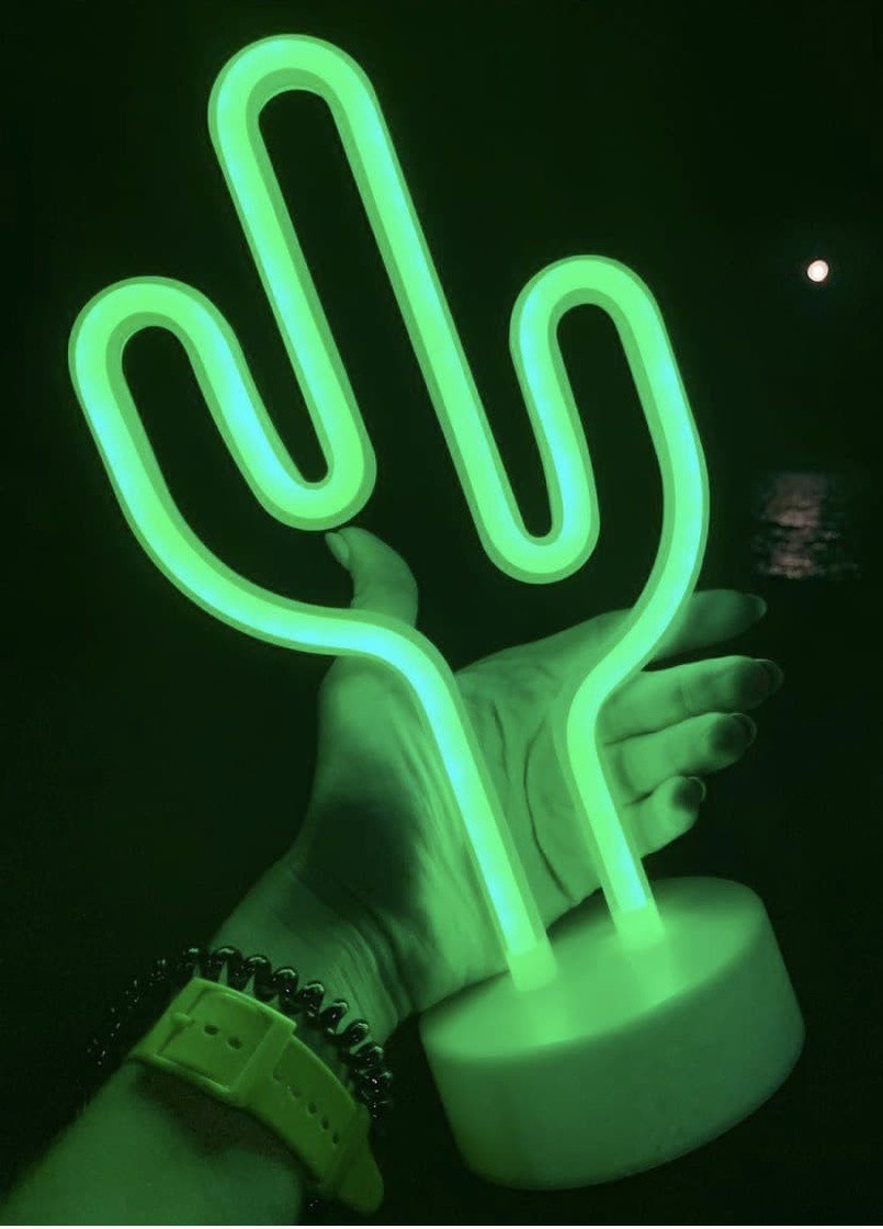 Настільний декоративний неоновий світильник-нічник Кактус (29,5х14,5 см, USB або батареї) - Зелений Forus neon decoration lamp (257033363)