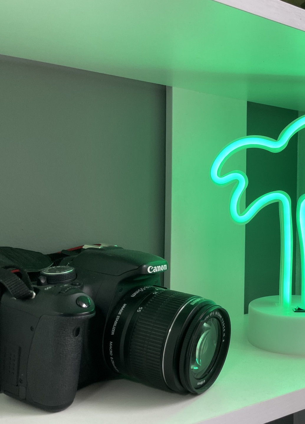 Настільний декоративний неоновий світильник-нічник Пальма (29,5х14,5 см, USB або батареї) - Зелений Forus neon decoration lamp (257033356)