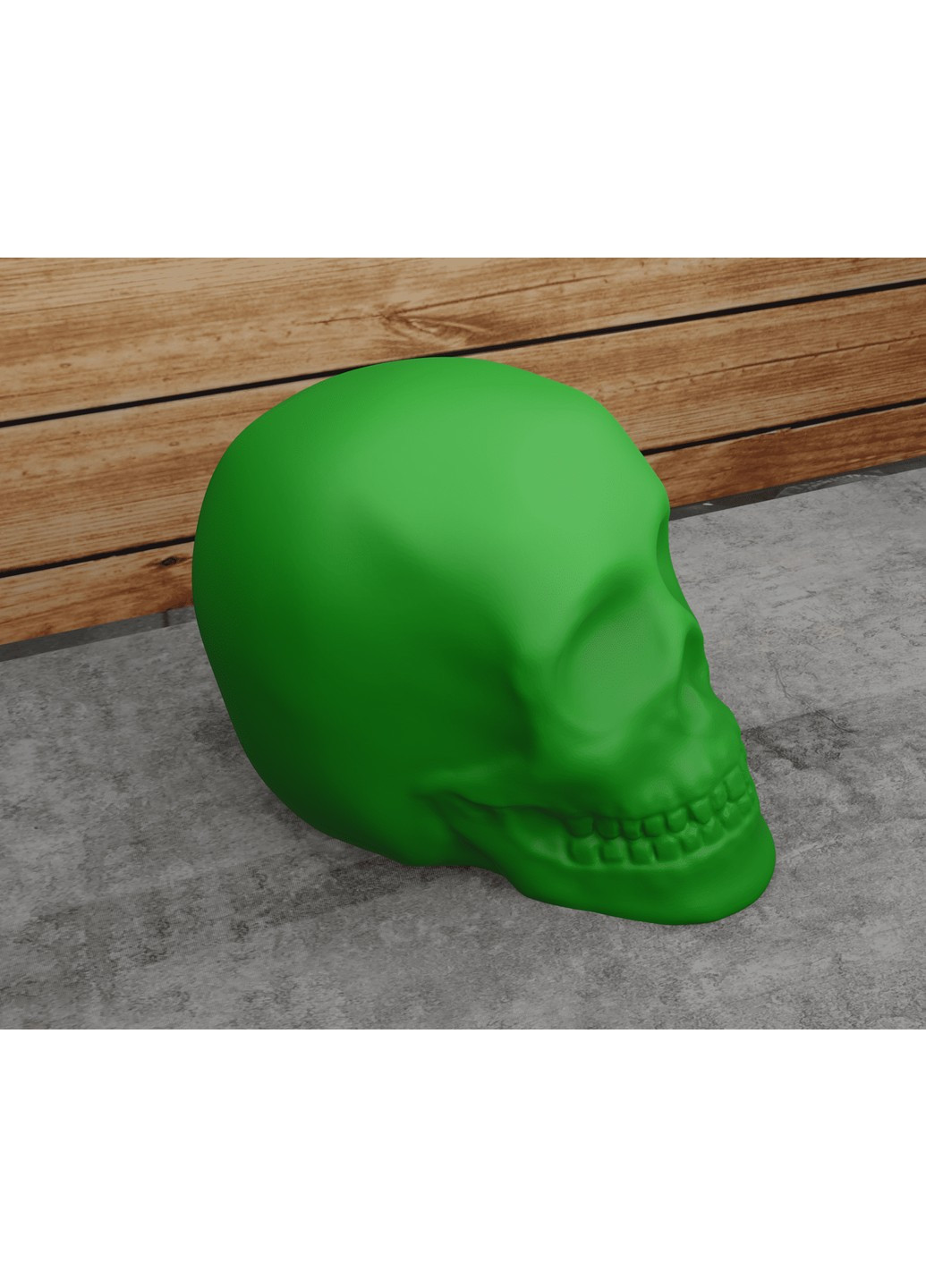 Череп класичний. ЗаСвіт (266425186)