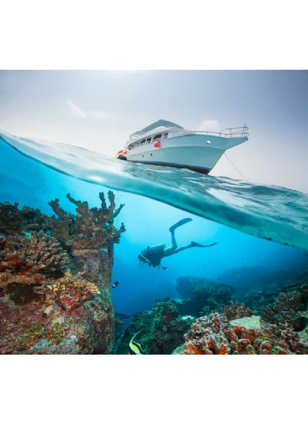 Подводный бокс-купол для экшн-камер GoPro 10, 9 (473945-Prob) Unbranded (256930415)