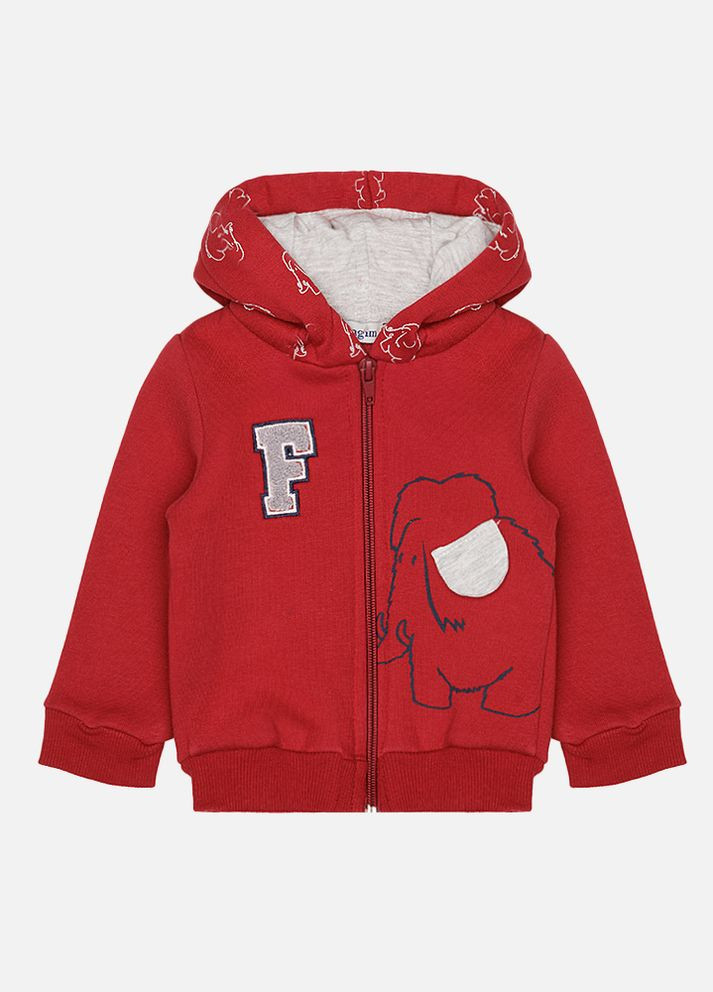 Толстовка для хлопчика колір червоний ЦБ-00225646 Pengim (260451357)