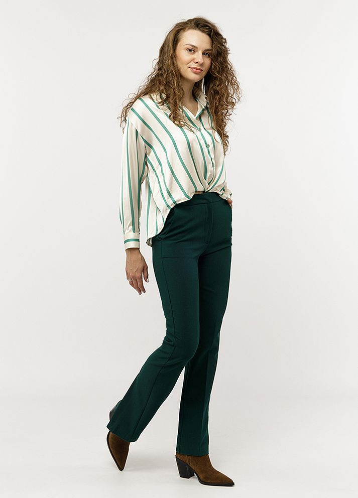Зеленые демисезонные брюки Karol