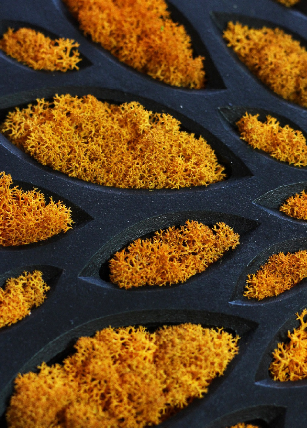 Часы настенные стильные практичные универсальные круглые со стабилизированным мхом из дерева 40х40х3.2 см (475778-Prob) Черные Unbranded (271140874)