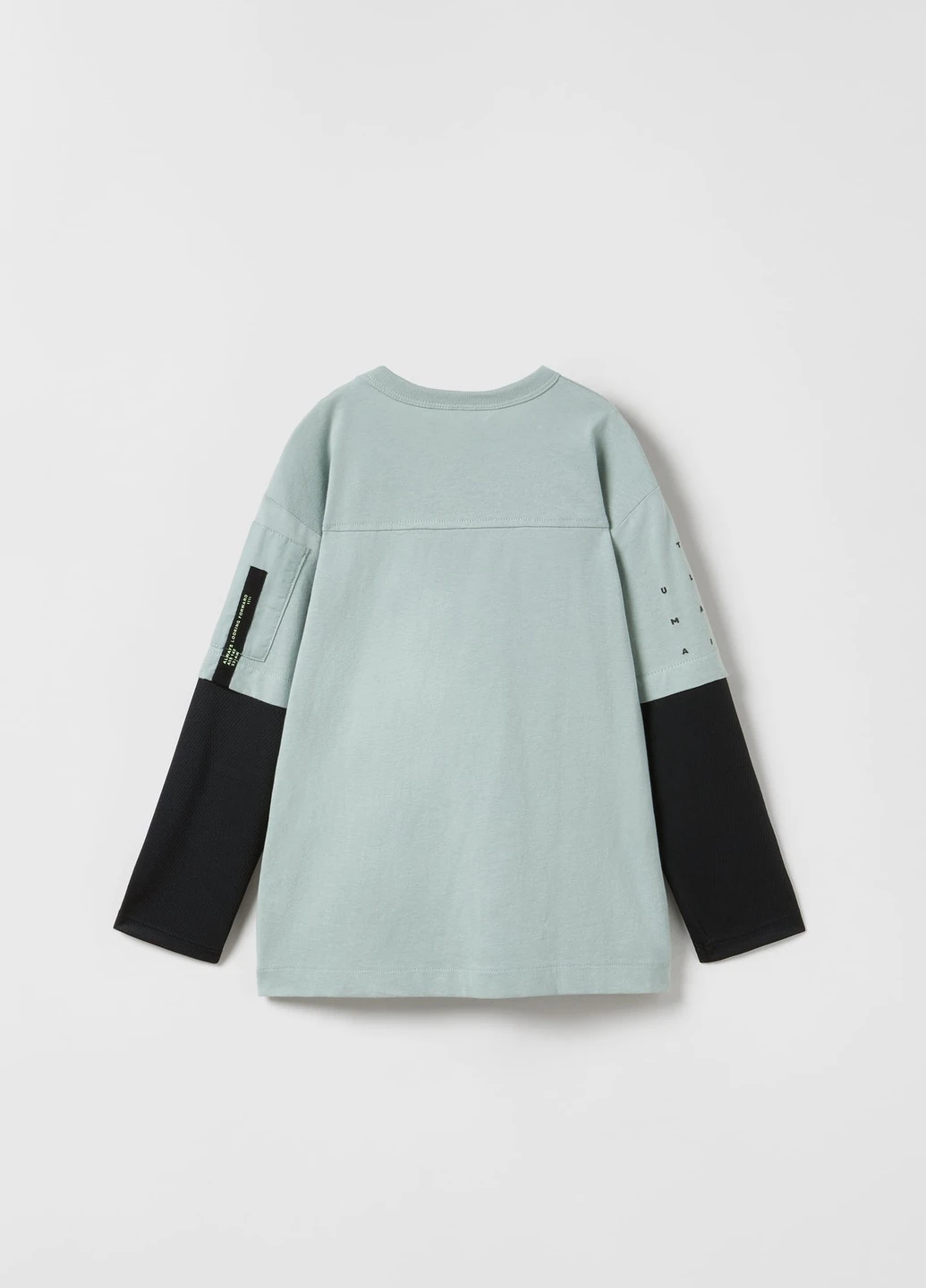Реглан для мальчика 4873779506 Zara (257418720)