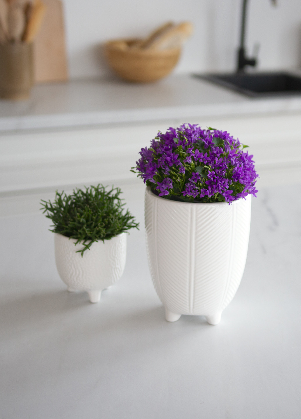 Горщик для квітів, 14,5х14,5х14 см MVM (257941812)