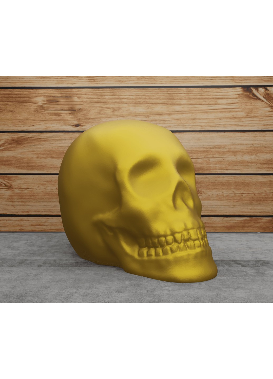 Череп класичний. ЗаСвіт (266425347)