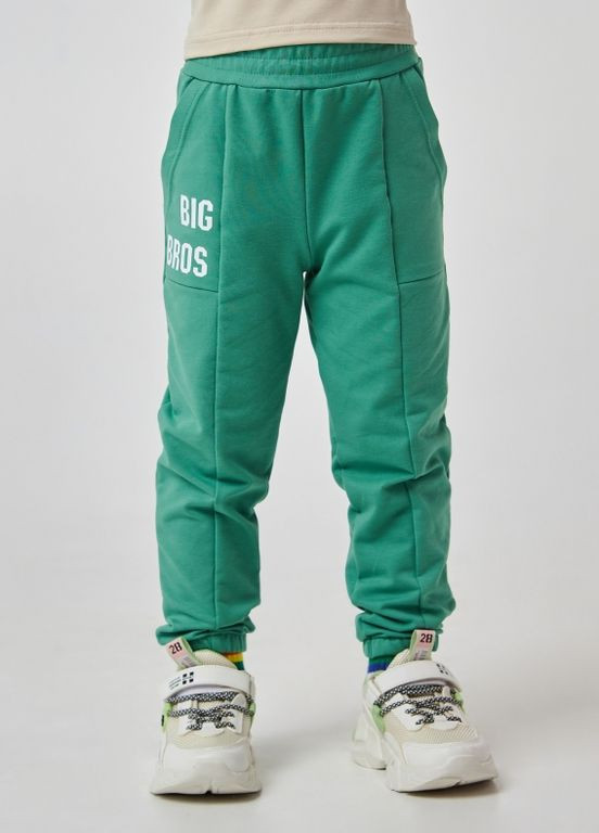 Дитячі штани | 95% Бавовна | Демісезон 92, 98, 104,110,116 | Зручність та комфорт Зелений Smil (277694305)