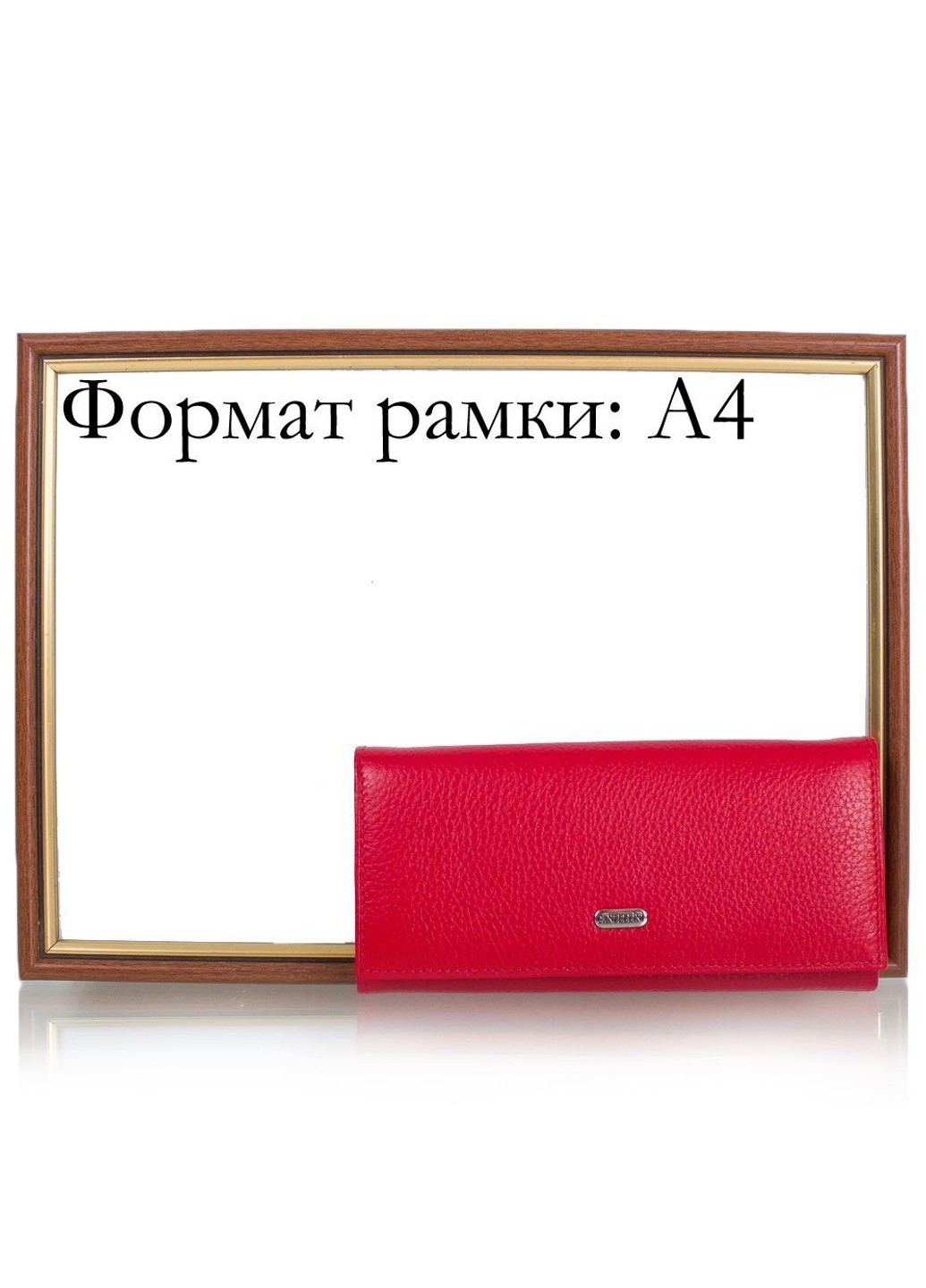 Женский кожаный кошелек SHI2036-1 Canpellini (262976716)