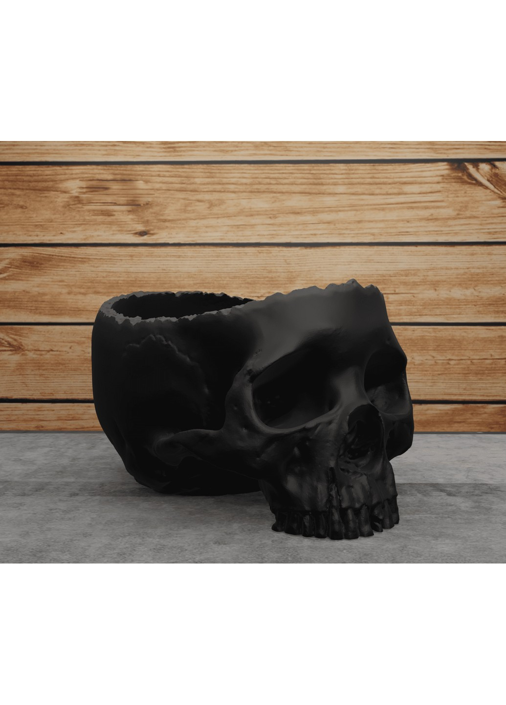 Відкритий череп. ЗаСвіт (266425032)