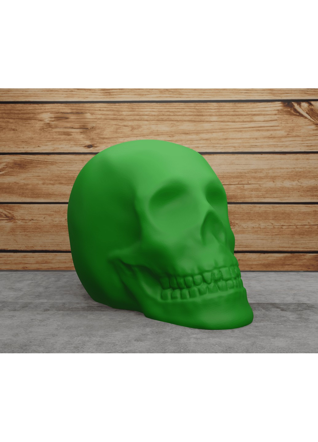 Череп класичний. ЗаСвіт (266425328)