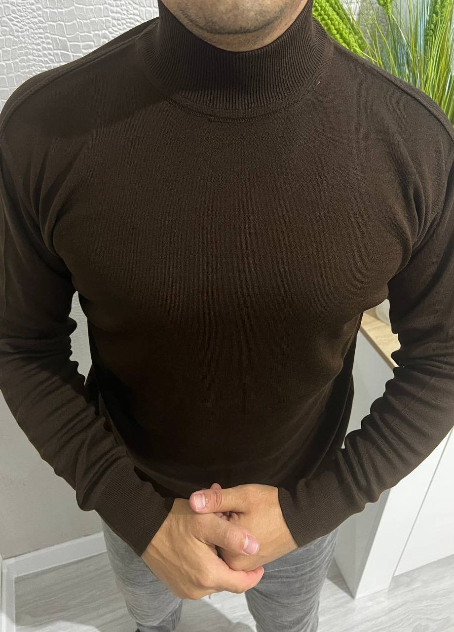 Коричневый демисезонный мужской однотонный свитер No Brand