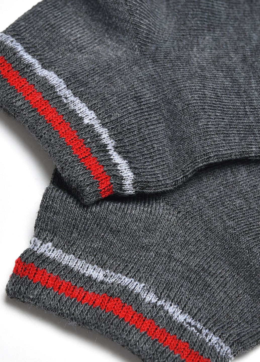 Шкарпетки чоловічі спортивні темно-сірого кольору розмір 41-45 Let's Shop (278050329)