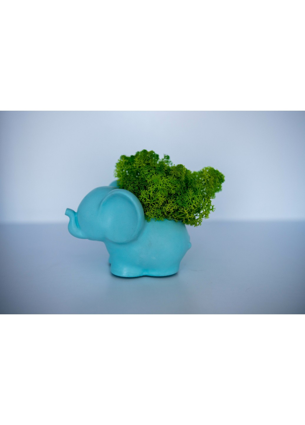 Кашпо Слонёнок со светло-зеленым мхом, голубой Trensi (258330513)
