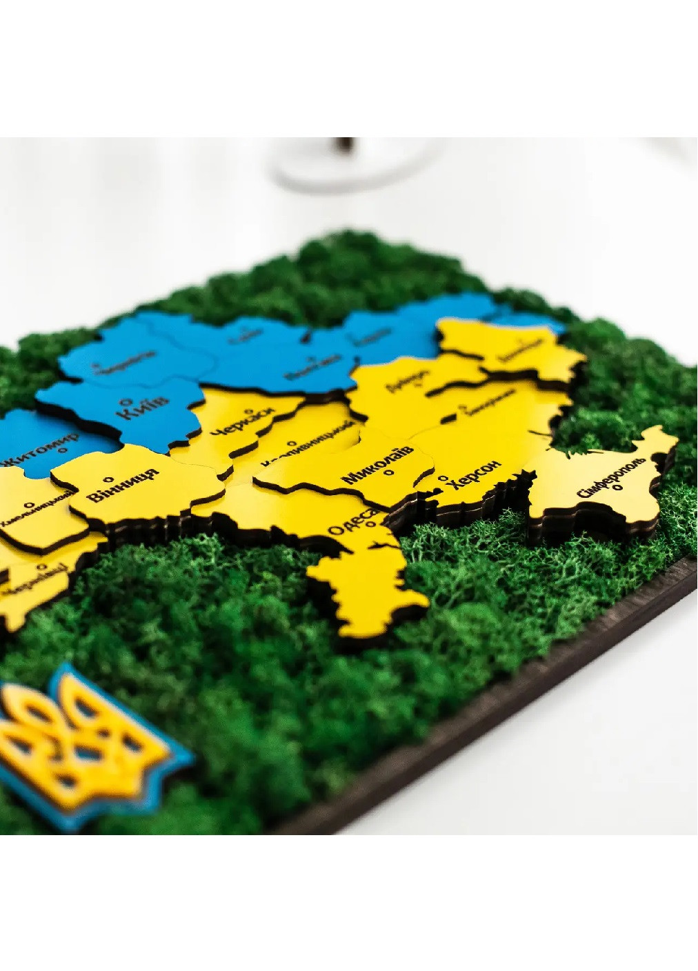 Панно картина флорариум деревянная со стабилизированным мхом карта Украины 40х27,5х2 см (475819-Prob) Желто-голубой мох Unbranded (271955581)