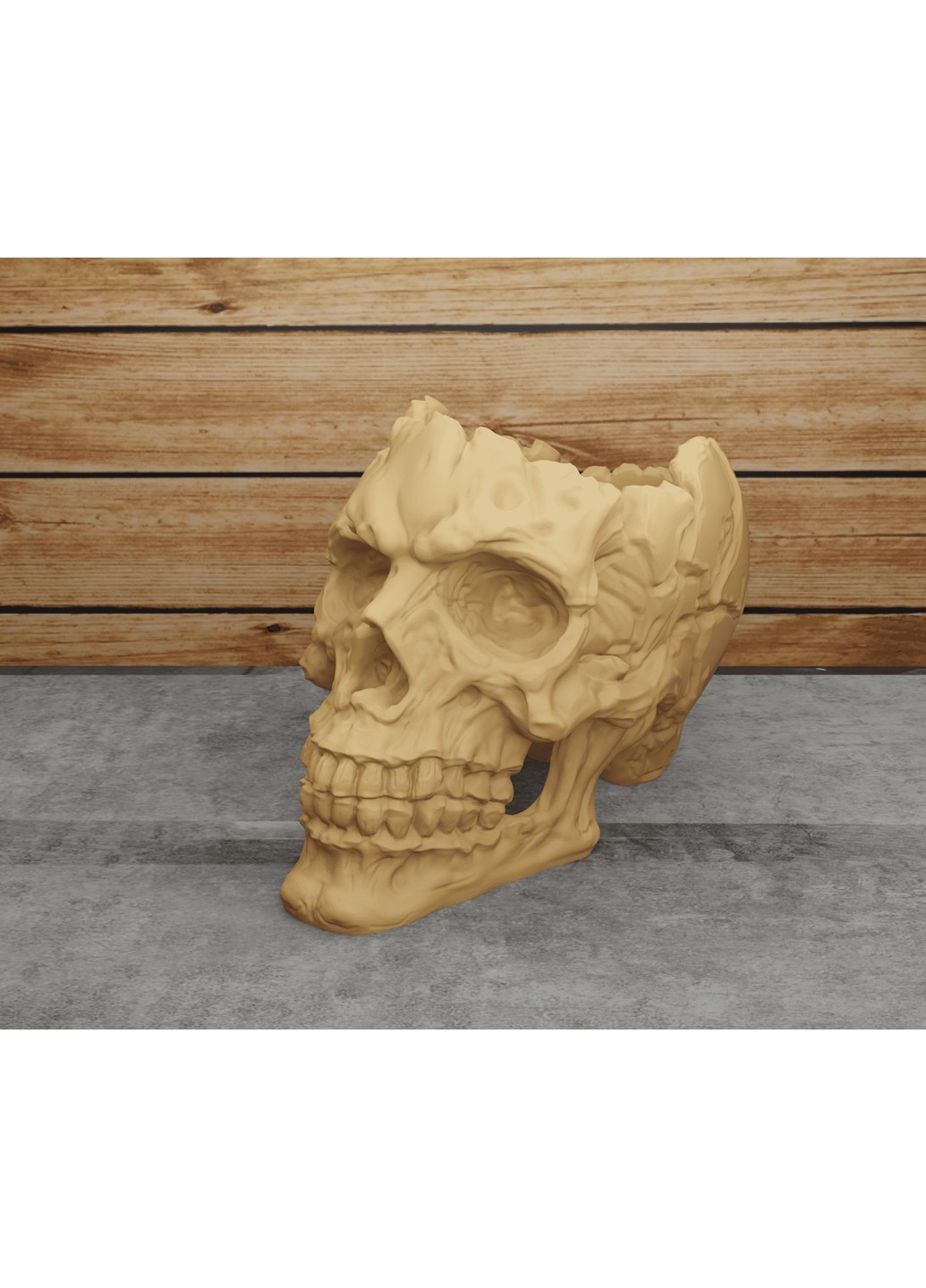 Рельефный череп. ЗаСвіт (266425523)