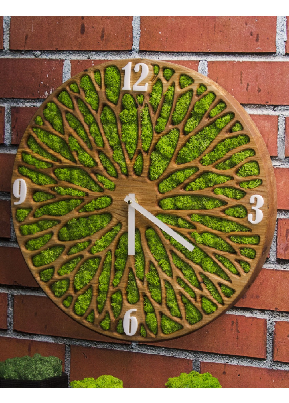 Годинник настінний стильний універсальний круглий зі стабілізованим мохом із дерева 35х35х4 см (475801-Prob) Білі цифри Unbranded (271666221)
