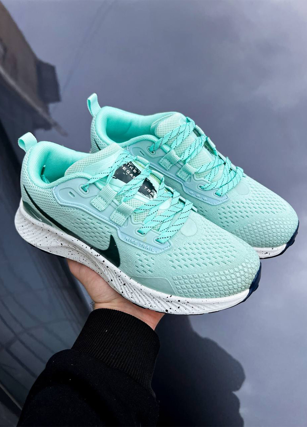 Nike Pegasus Trail