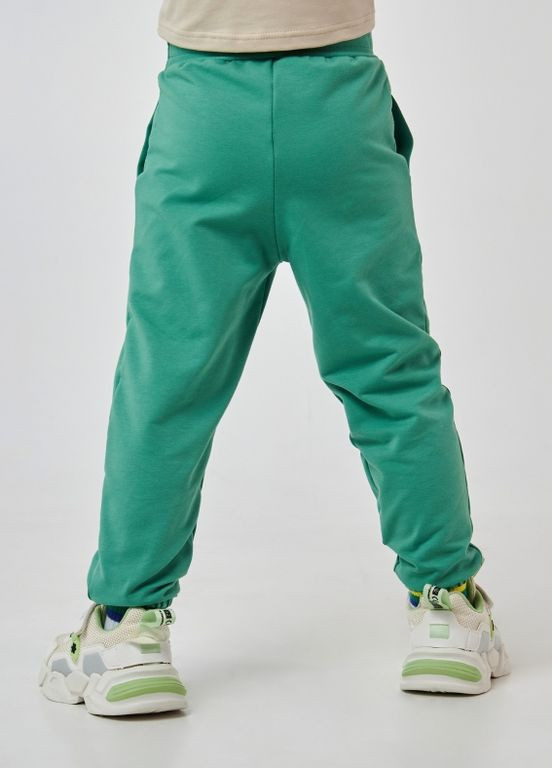 Зеленые брюки Smil