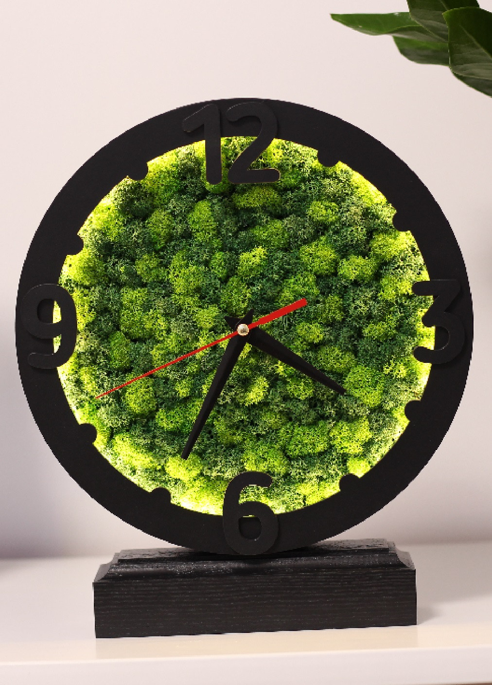 Годинник настільний компактний стильний з підсвічуванням зі стабілізованим мохом із дерева 24х24х4 см (475775-Prob) Чорний Unbranded (271125334)