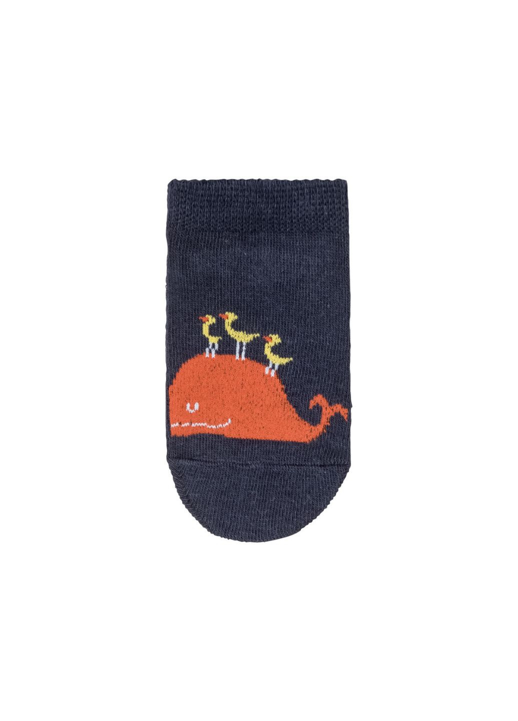 Набір шкарпеток хлопчику Lupilu (257124651)