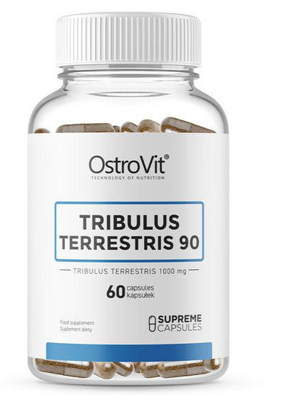 Tribulus Terrestris 90 60 Caps Ostrovit (256720652)