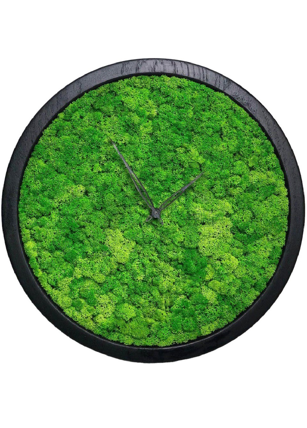 Часы настенные стильные практичные универсальные круглые со стабилизированным мхом из дерева 25х25х4 см (475791-Prob) Черные Unbranded (271518137)