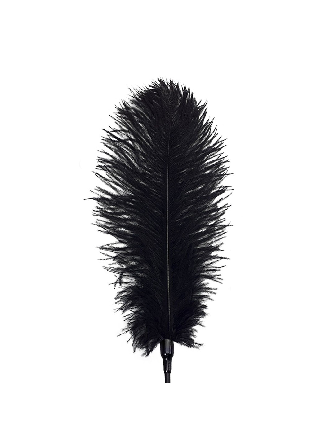 Щекоталка со страусиным пером - Feather Tickler, цвет Черный Art of Sex (258261847)