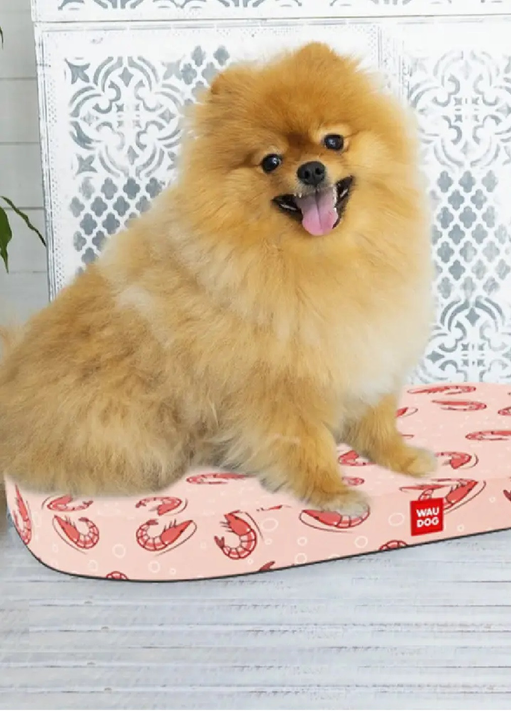 Лежанка ліжко лежак спальне місце для сну відпочинку собак цуценят зі знімним чохлом 55x40 см (474771-Prob) Креветки Unbranded (259683369)