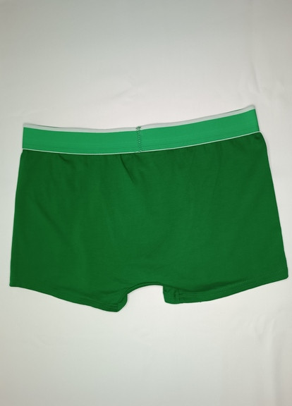 Модные зеленые мужские трусы боксеры с толстой резинкой No Brand (270368343)