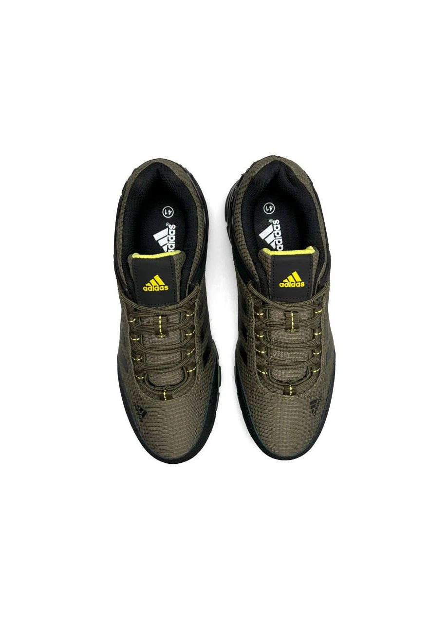Оливковые (хаки) демисезонные кроссовки мужские, вьетнам adidas Terrex Continental Khaki