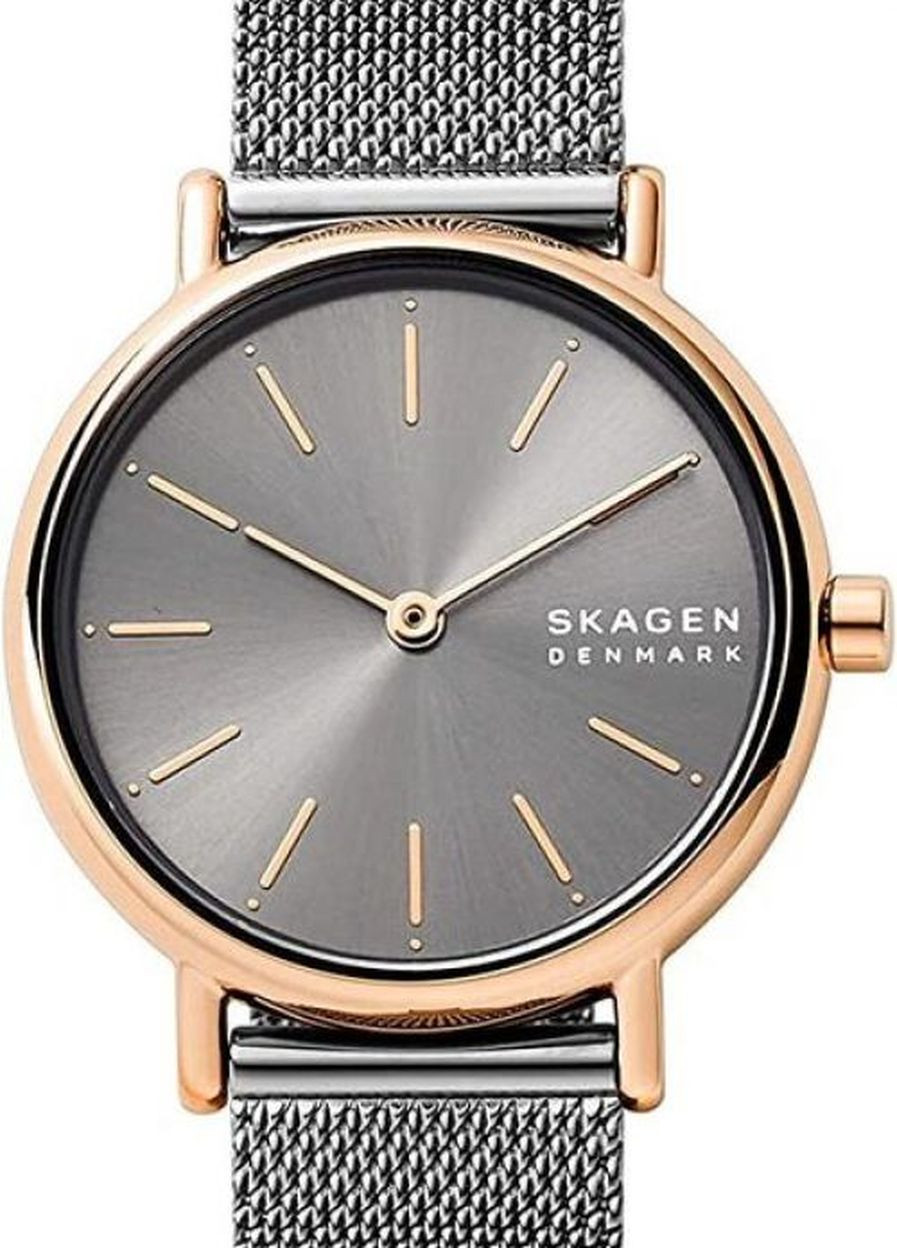 Часы SKW2996 кварцевые fashion Skagen (277979520)