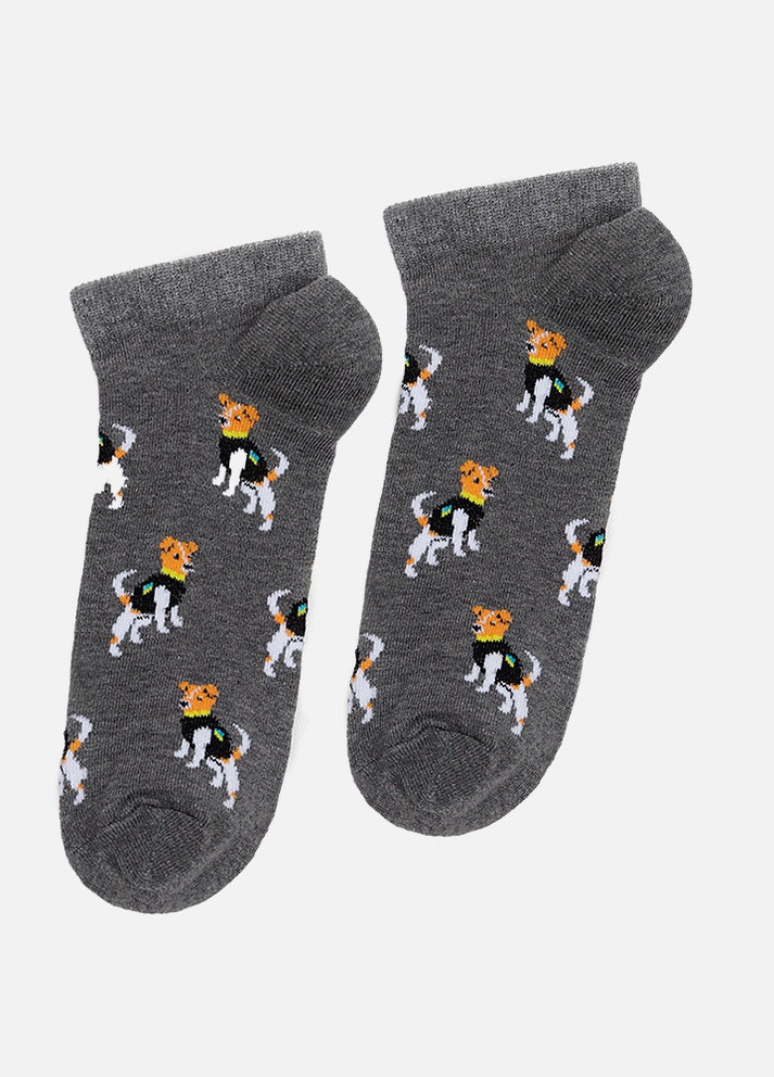 Чоловічі шкарпетки колір сірий ЦБ-00214909 Yuki (259422249)