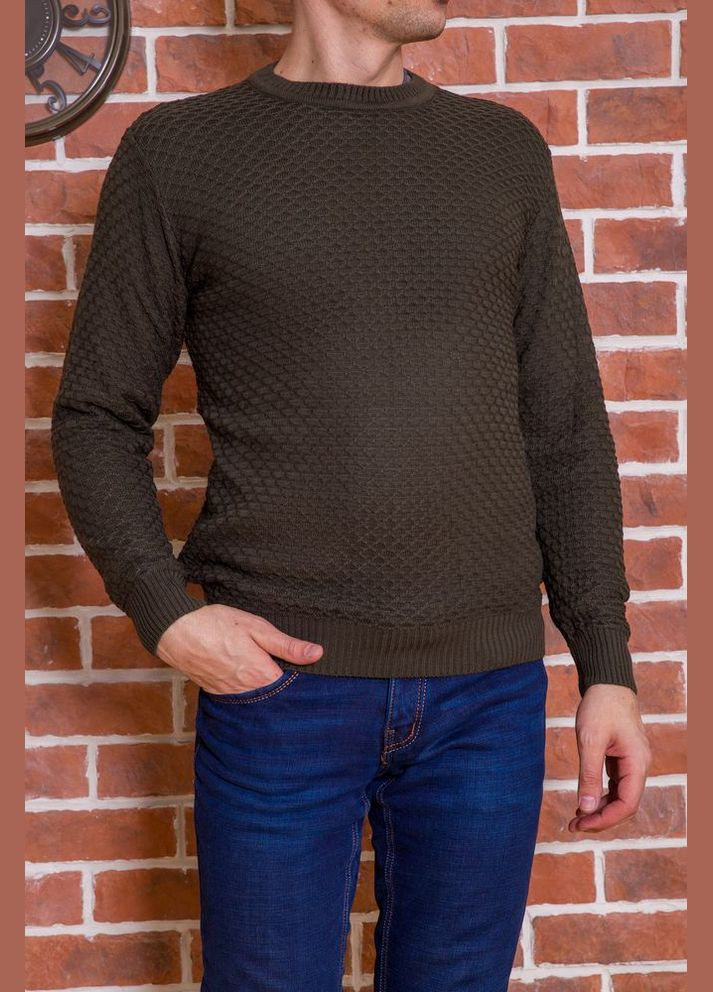 Оливковий (хакі) зимовий светр чоловічий, колір чорний, Ager