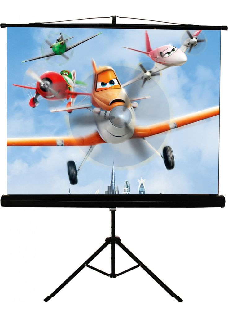 Экран мобильный на треноге 120" SNT4 (180*240, 4:3) Walfix (314834482)