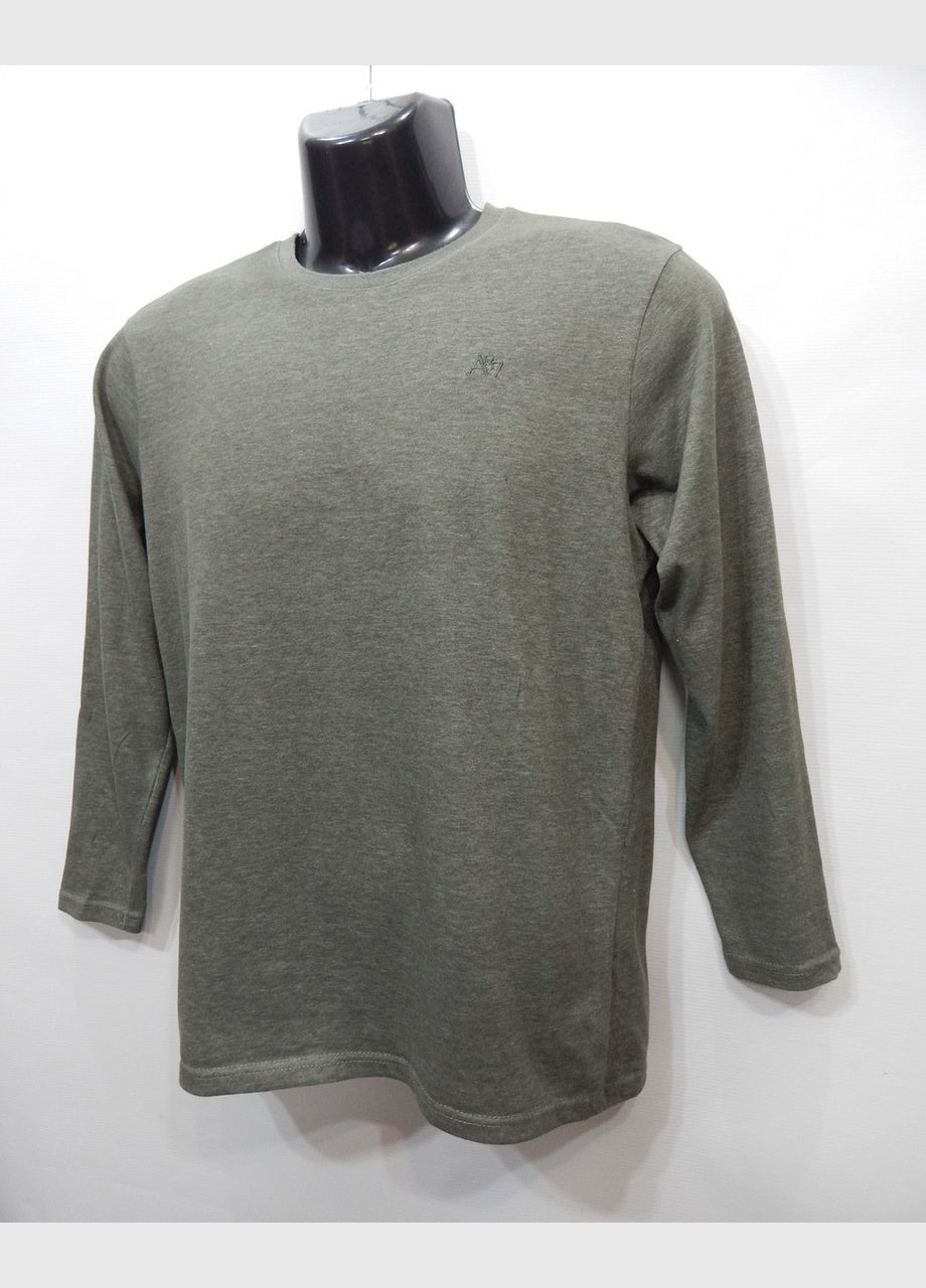 Оливковый демисезонный повседневный лонгслив Aeropostale однотонный