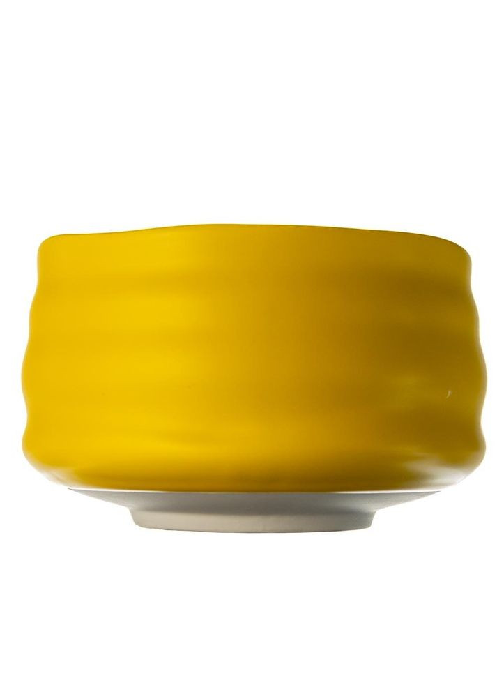 Чаван Желток, 500 мл No Brand (305196292)