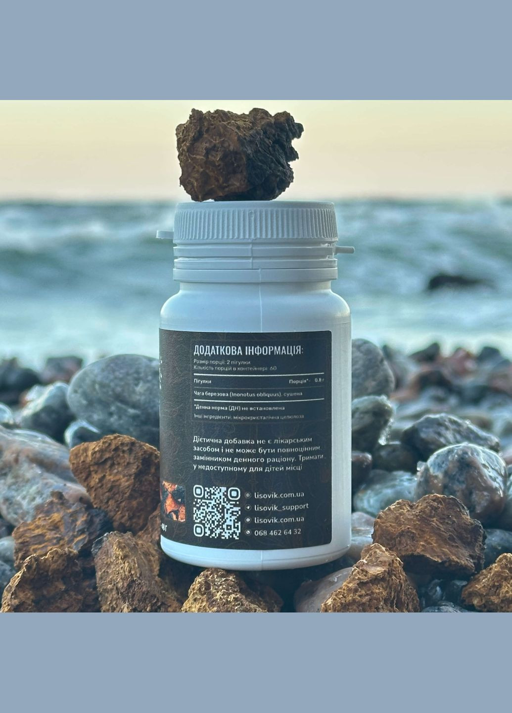 Чага березова, пігулки 120 шт по 0.4 г Лісовик (334292823)