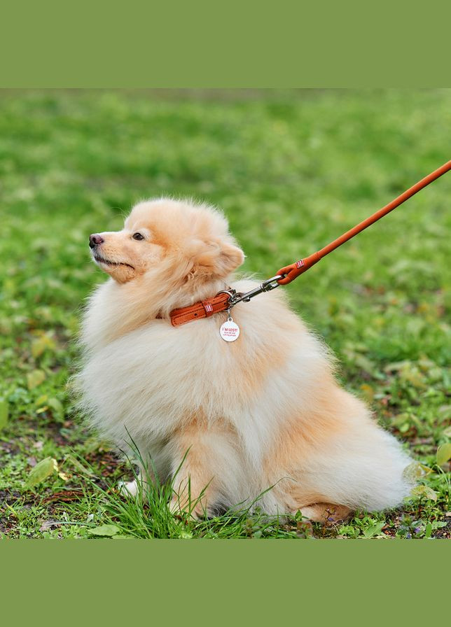 Нашийник для собак шкіряний Soft з QR паспортом, круглий, Д 8 мм, Дов 20-25 см коричневий WAUDOG (322001849)