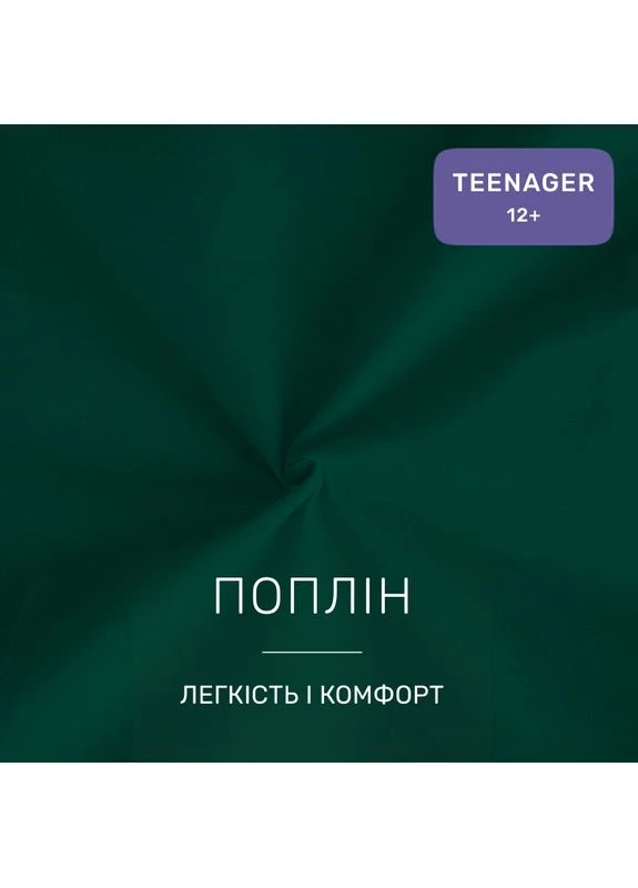 Комплект постільної білизни Поплін TEENAGER Poplin Line 091 + 099 Ferdinand Полуторний Євро Mirson (399960310)