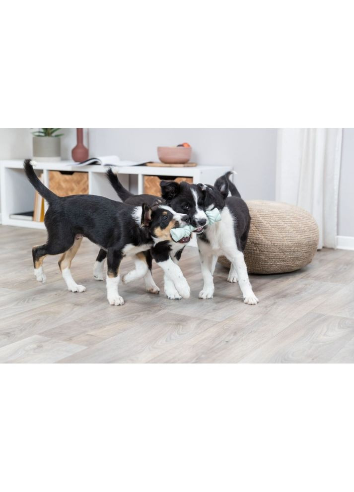 Іграшка Junior для цуценят Канат шелесткий латекс 15 см Trixie (362702241)