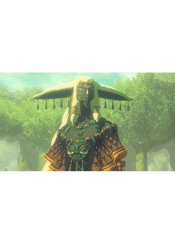Ігра Hyrule Warriors Age of Imprisonment для Switch 2 (45496313500) Nintendo (378630410)